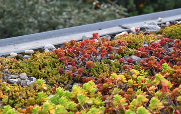 the cost of Edgeside green roof installation