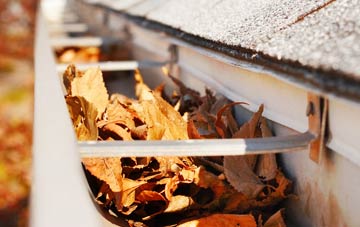 Edgeside gutter cleaning companies