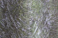 Edgeside fibreglass roof work